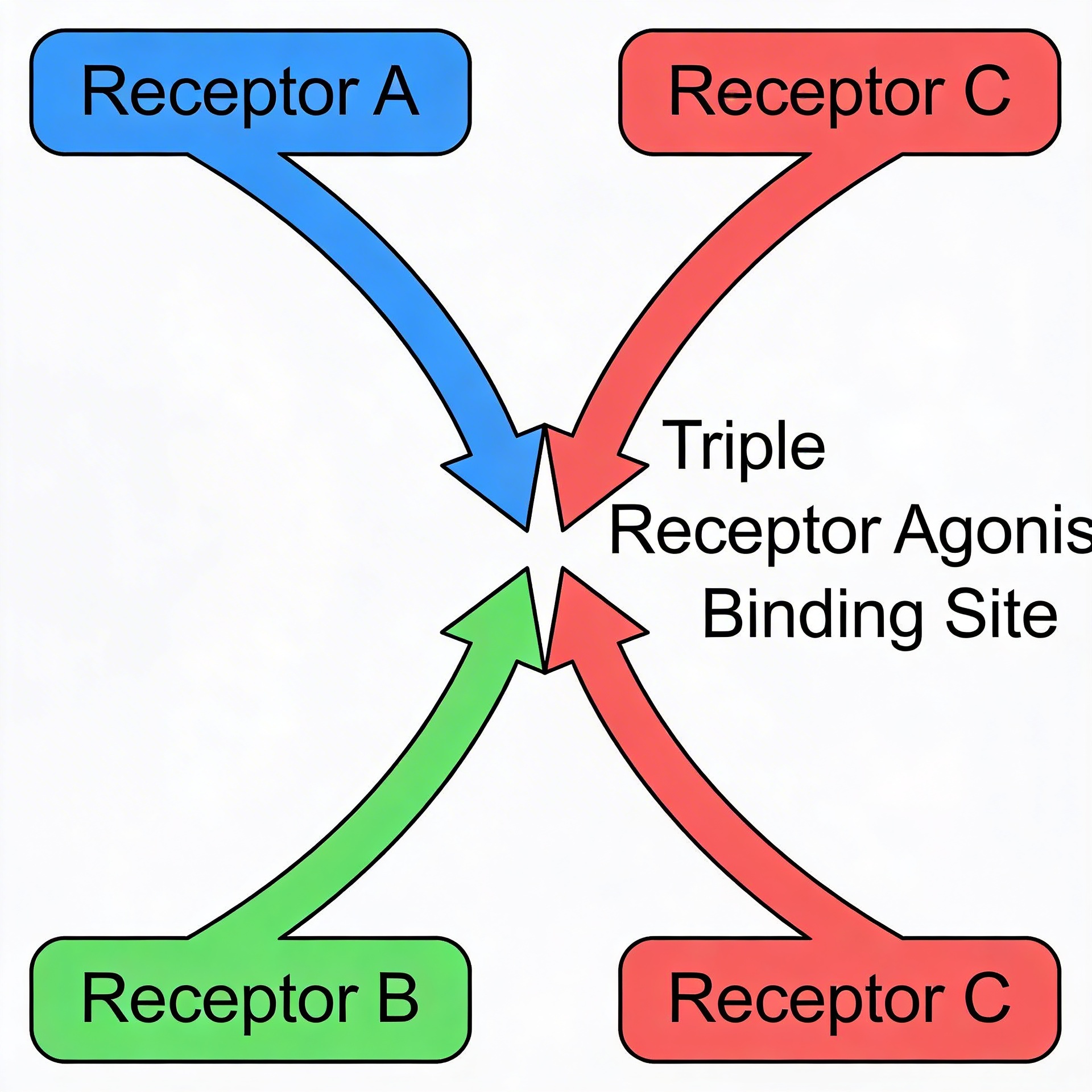 Triple agoniste GLP-1 GIP glucagon, synergie des trois récepteurs